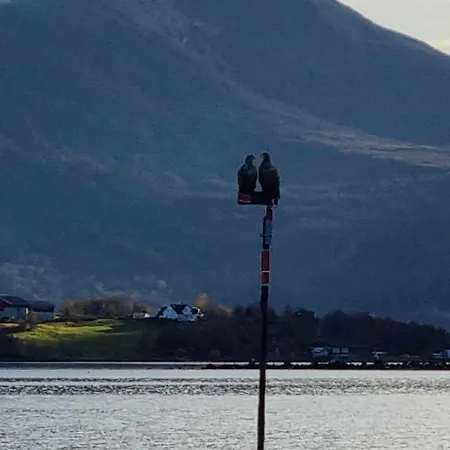 Casa vacanze Nede Ved Sjoen Inntil 6 Pers Vestnes