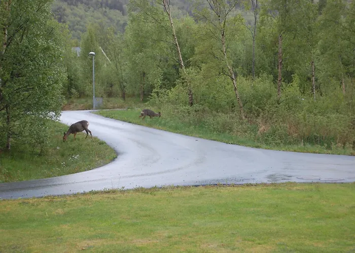 Nyaraló Nede Ved Sjoen Inntil 6 Pers Vestnes